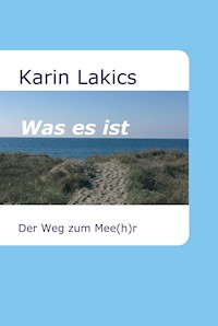 Was es ist - Karin Lakics - E-Book