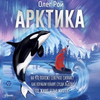 Арктика - Олег Рой - Hörbuch
