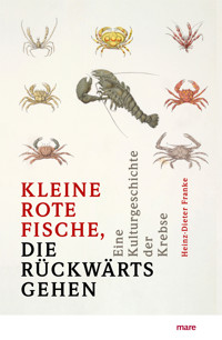 »Kleine rote Fische, die rückwärtsgehen« - Heinz-Dieter Franke - E-Book