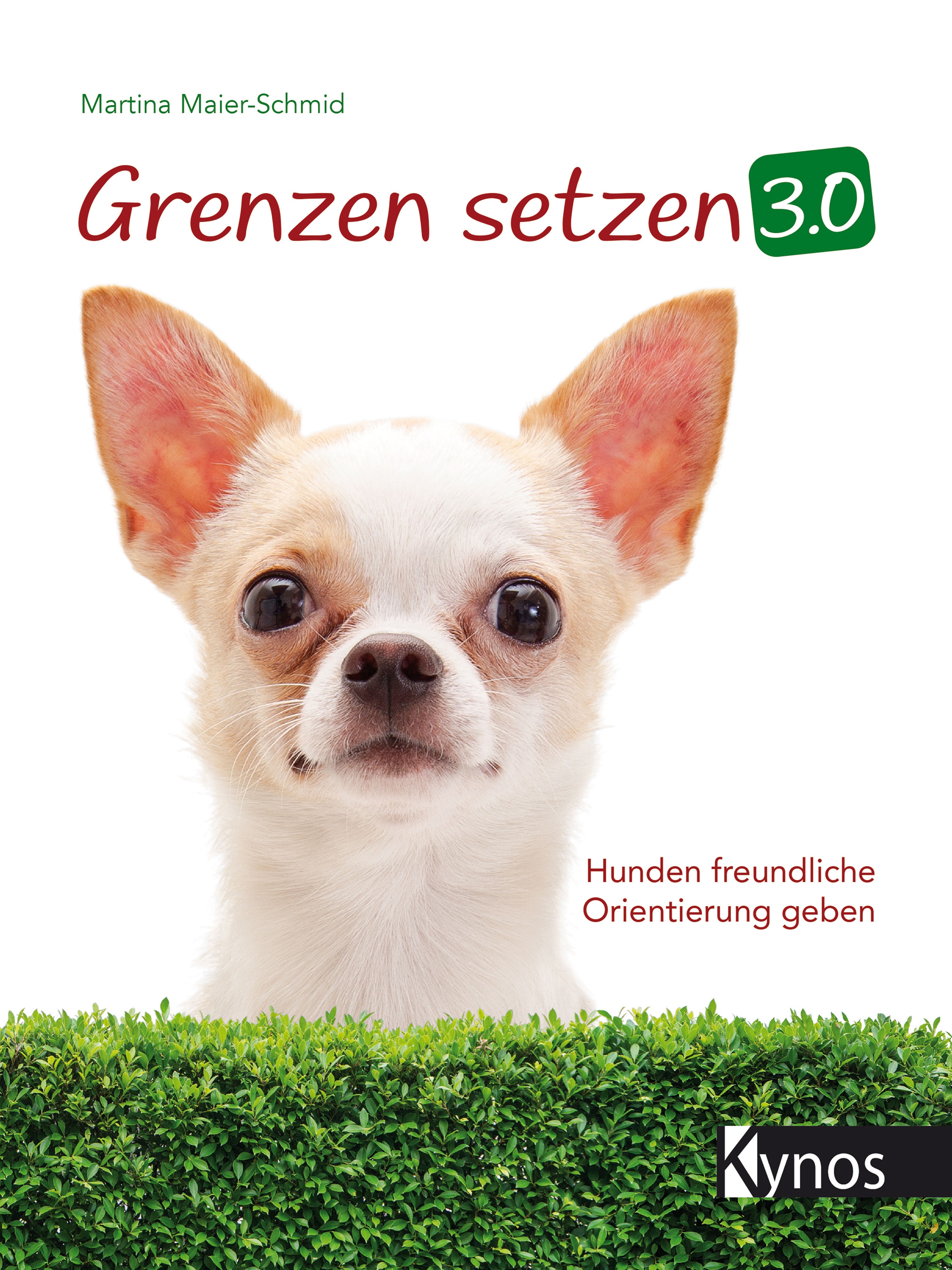 Grenzen setzen 3.0 - Martina Maier-Schmid - E-Book