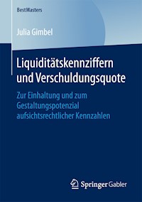 Liquiditätskennziffern und Verschuldungsquote - Julia Gimbel - E-Book