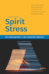 Zwischen Spirit und Stress - Klaus Baumann - E-Book