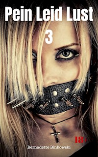 Pein Leid Lust 3 - Bernadette Binkowski - E-Book