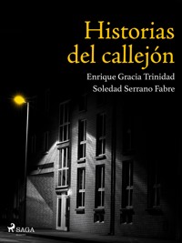 Historias del callejón - Soledad Serrano Fabre - E-Book
