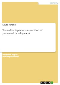 Team development as a method of personnel development - Laura Patzke - E-Book