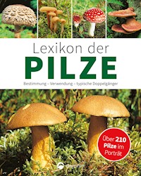 Lexikon der Pilze: Bestimmung, Verwendung, typische Doppelgänger - Hans W. Kothe - E-Book