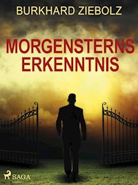 Morgensterns Erkenntnis - Kriminalroman aus Niedersachsen - Burkhard Ziebolz - E-Book