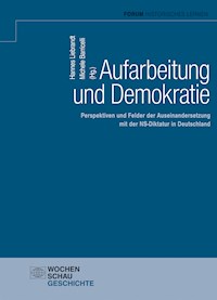 Aufarbeitung und Demokratie - Michele Barricelli - E-Book