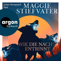 Wie die Nacht entrinnt - Dreamer-Trilogie, Band 3 (Ungekürzte Lesung) - Maggie Stiefvater - Hörbuch