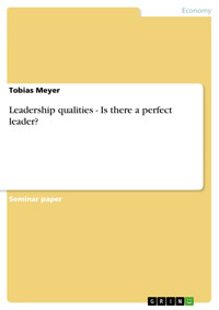 Leadership qualities - Is there a perfect leader? - Tobias Meyer - E-Book