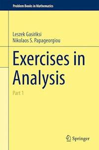 Exercises in Analysis - Leszek Gasiński - E-Book