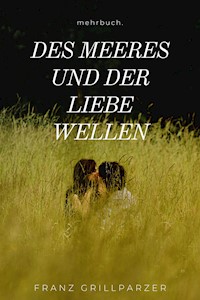 Des Meeres und der Liebe Wellen - Franz Grillparzer - E-Book