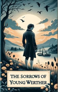The Sorrows Of Young Werther(Illustrated) - Johann wolfgang von goethe - E-Book