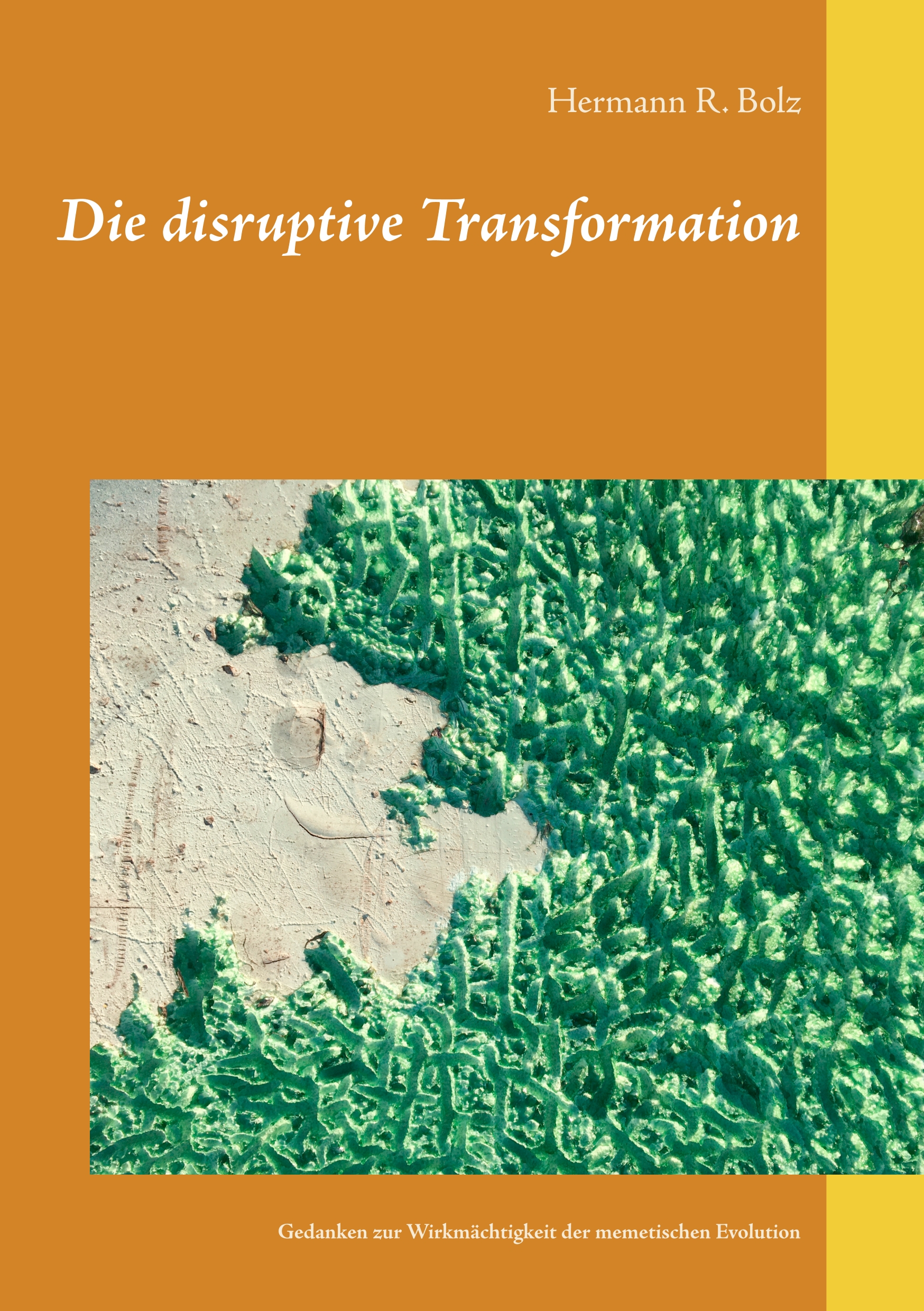 Die disruptive Transformation - Hermann R. Bolz - E-Book