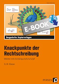 Knackpunkte der Rechtschreibung 2 - Karin Hohmann - E-Book