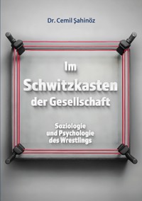 Im Schwitzkasten der Gesellschaft - Cemil Sahinöz - E-Book