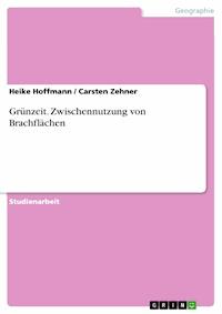 Grünzeit. Zwischennutzung von Brachflächen - Heike Hoffmann - E-Book