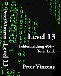 Level 13 - Peter Vinzens - E-Book