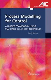 Process Modelling for Control - Benoît Codrons - E-Book
