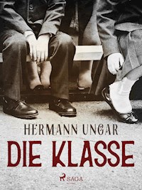 Die Klasse - Hermann Ungar - E-Book