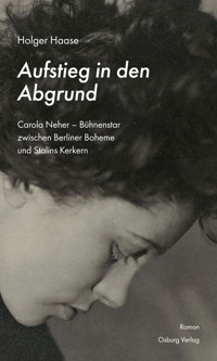Aufstieg in den Abgrund - Haase Holger - E-Book
