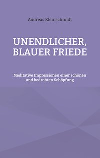 Unendlicher, blauer Friede - Andreas Kleinschmidt - E-Book