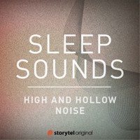High and Hollow Noise - Patricio Samuelsson - Hörbuch