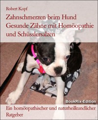 Zahnschmerzen beim Hund Gesunde Zähne mit Homöopathie und Schüsslersalzen - Robert Kopf - E-Book