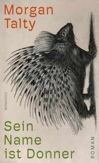 Sein Name ist Donner - Morgan Talty - E-Book