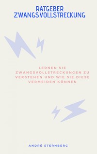 Ratgeber Zwangsvollstreckung - Andre Sternberg - E-Book