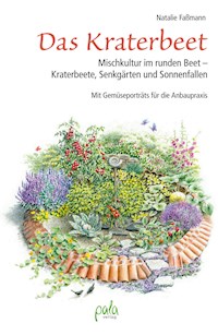 Das Kraterbeet - Natalie Faßmann - E-Book