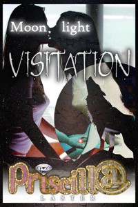 Moonlight Visitation - Priscilla Laster - E-Book