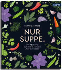 Nur Suppe. - Martin H. Lorenz - E-Book