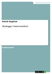 Heidegger: Sinnverstehen! - Patrick Siegfried - E-Book