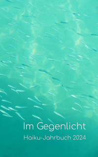 Im Gegenlicht - Volker Friebel - E-Book
