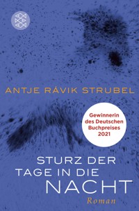 Sturz der Tage in die Nacht - Antje Rávik Strubel - E-Book