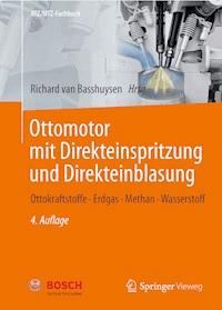 Ottomotor mit Direkteinspritzung und Direkteinblasung -  - E-Book