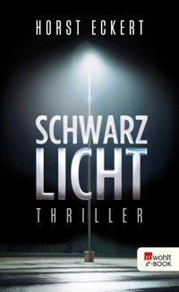 Schwarzlicht - Eckert Horst - E-Book