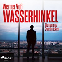 Wasserhinkel - Roman aus Zweibrücken (Ungekürzt) - Werner Voß - Hörbuch