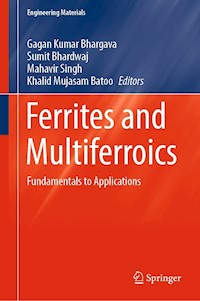 Ferrites and Multiferroics -  - E-Book