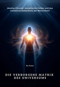 Die verborgene Matrix des Universums - Ro Felon  - E-Book