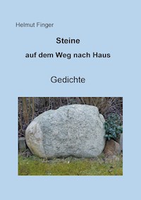 Steine auf dem Weg nach Haus - Helmut Finger - E-Book