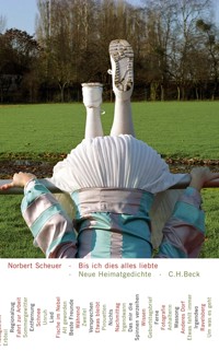 Bis ich dies alles liebte - Norbert Scheuer - E-Book