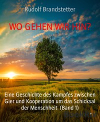 WO GEHEN WIR HIN? - Rudolf Brandstetter - E-Book