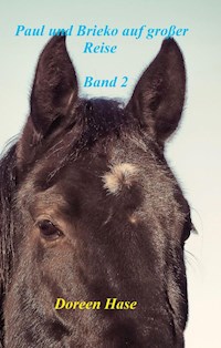 Paul und Brieko auf große Reise (Band 2) - Doreen Hase - E-Book