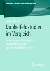 Dunkelfeldstudien im Vergleich - Karlhans Liebl - E-Book
