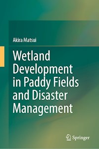 Wetland Development in Paddy Fields and Disaster Management - Akira Matsui - E-Book