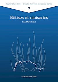 Bêtise et Niaiserie - Jean-Marie Sonet - E-Book