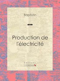 Production de l'électricité - Ligaran - E-Book