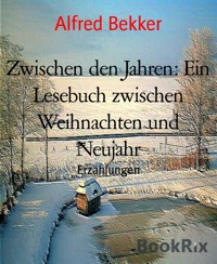 Zwischen den Jahren: Ein Lesebuch zwischen Weihnachten und Neujahr - Alfred Bekker - E-Book